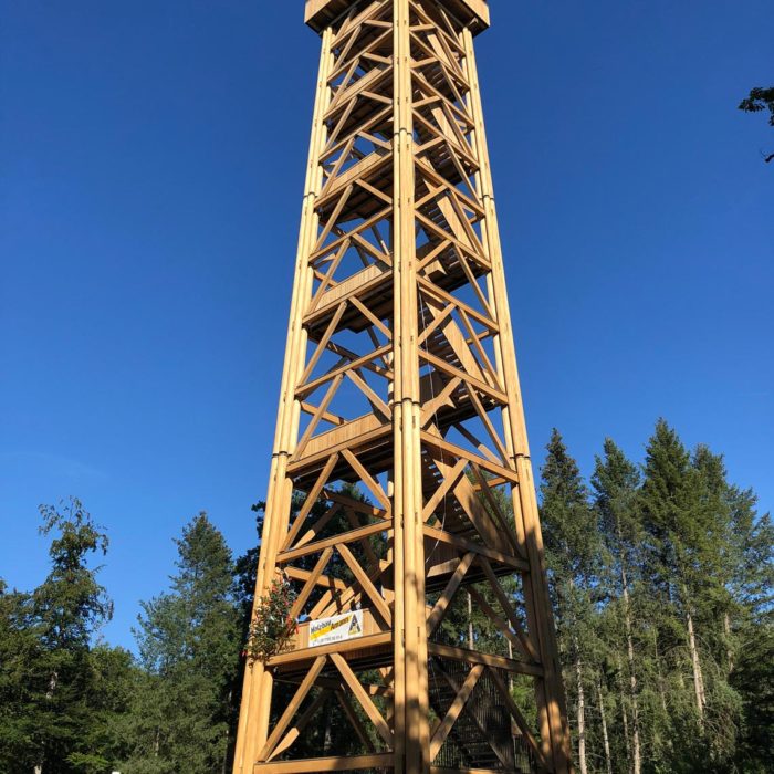 Goetheturm in Frankfurt (D) – Rundpfeiler mit RICON® Edelstahl, (c) Holzbau Amann GmbH